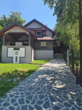 Vila Dimitrijevic Lisine